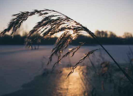 Fotograf Erfurt